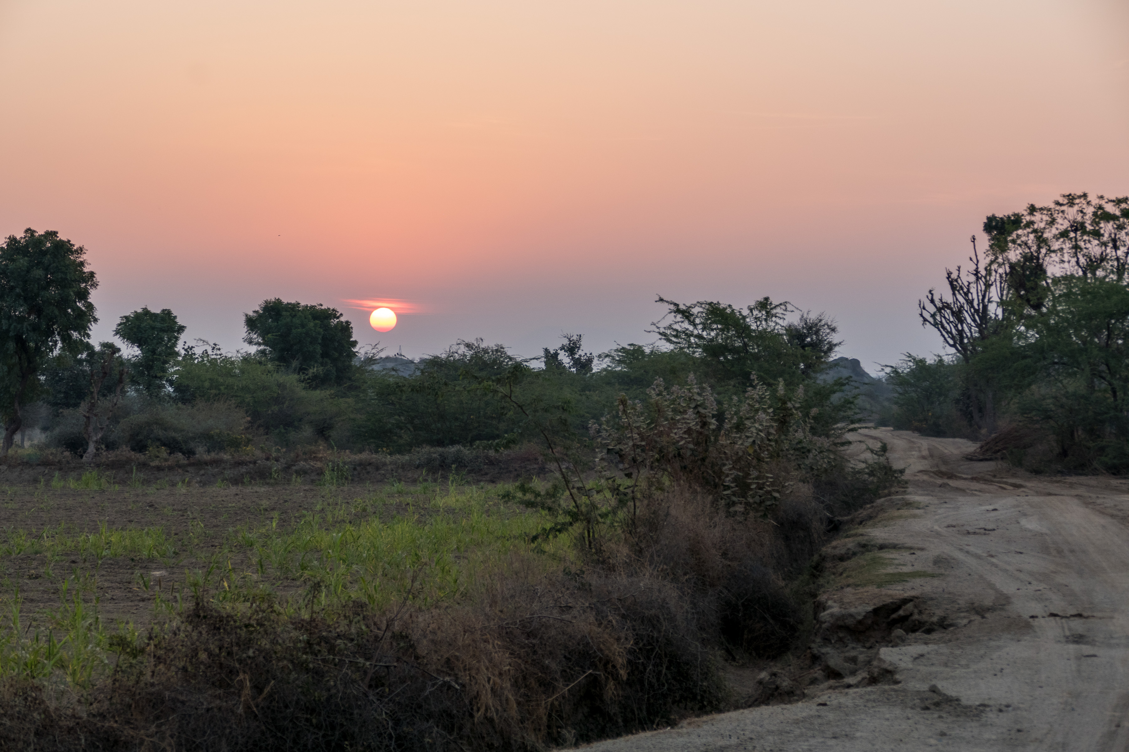 Bera Safari Lodge